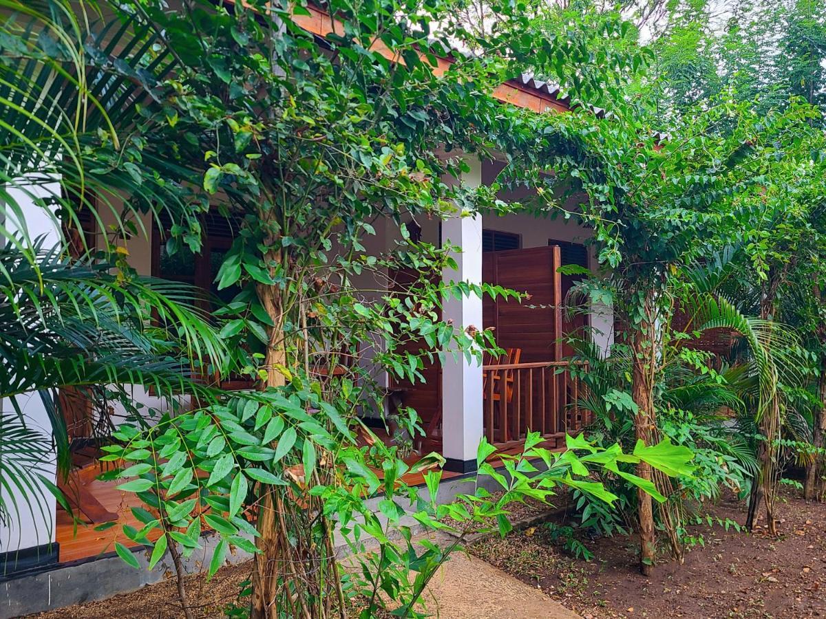 Woodholic Homestay Сигирия Екстериор снимка