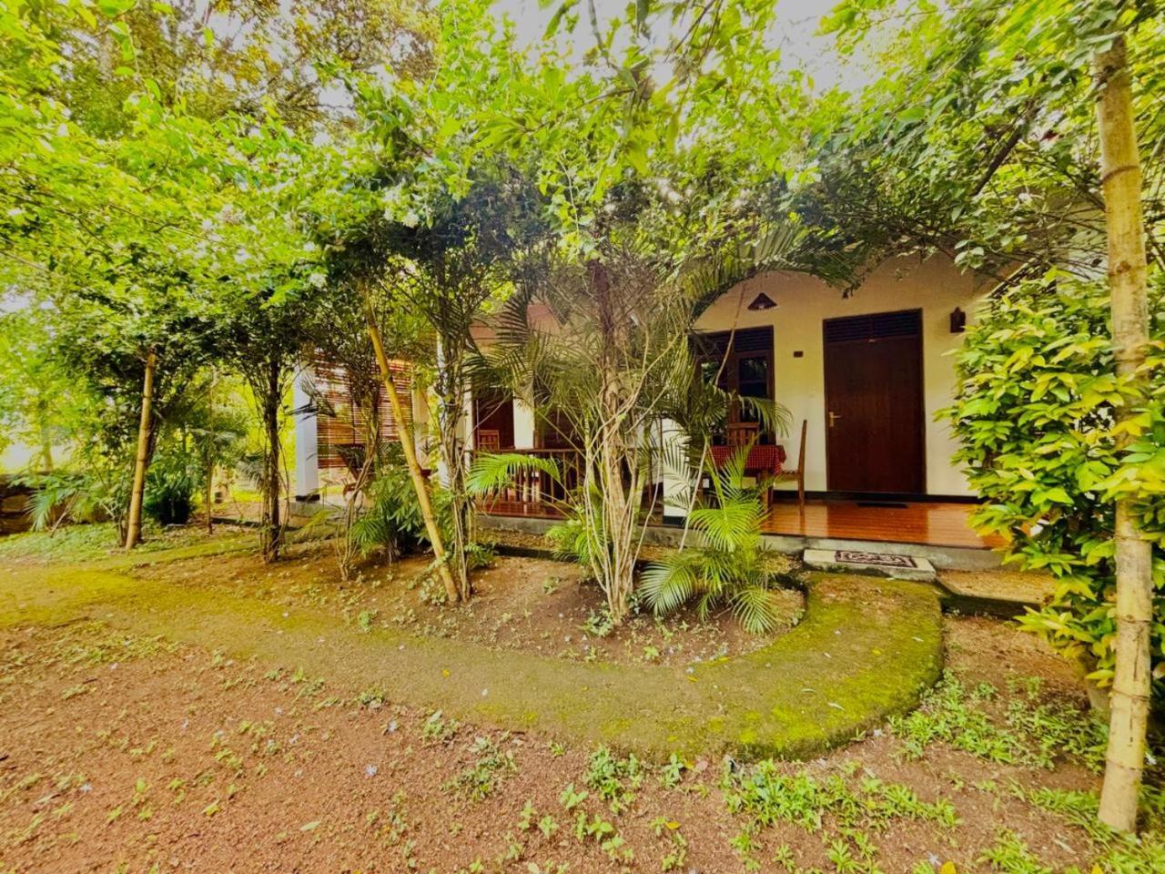 Woodholic Homestay Сигирия Екстериор снимка