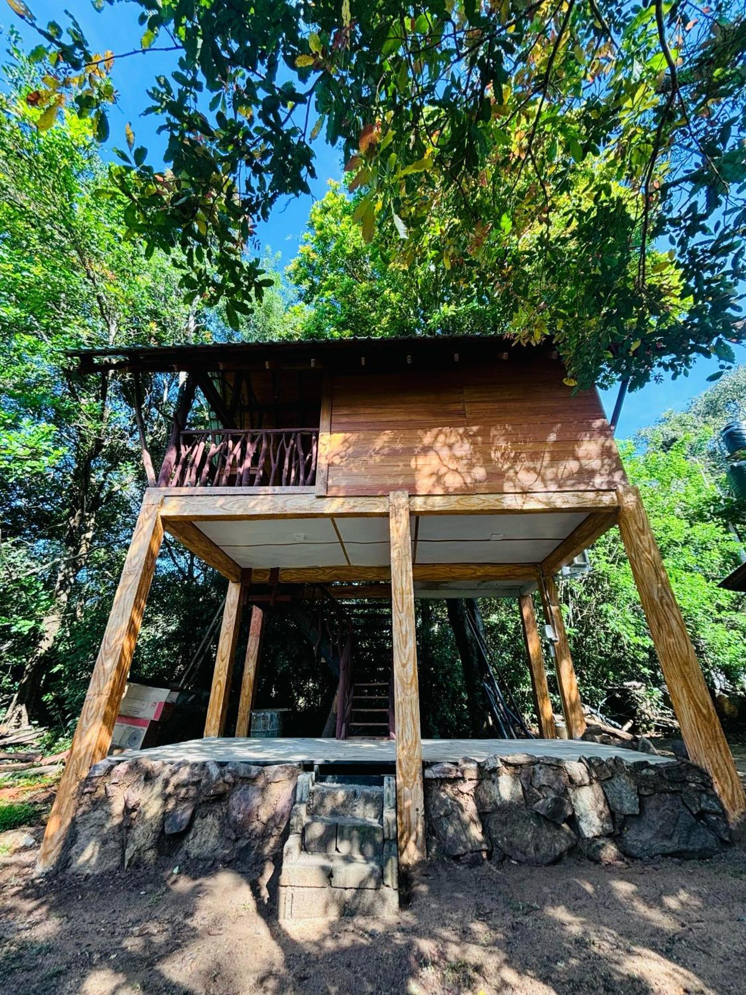 Woodholic Homestay Сигирия Екстериор снимка